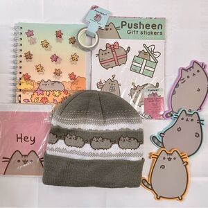 Pusheen Box bundle from 2016